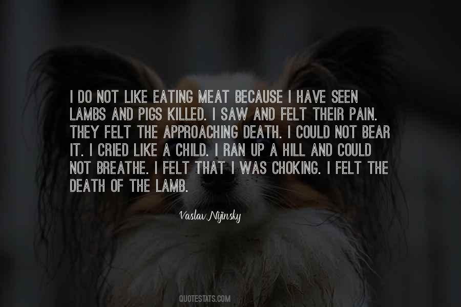 Quotes About Not Eating Meat #151010