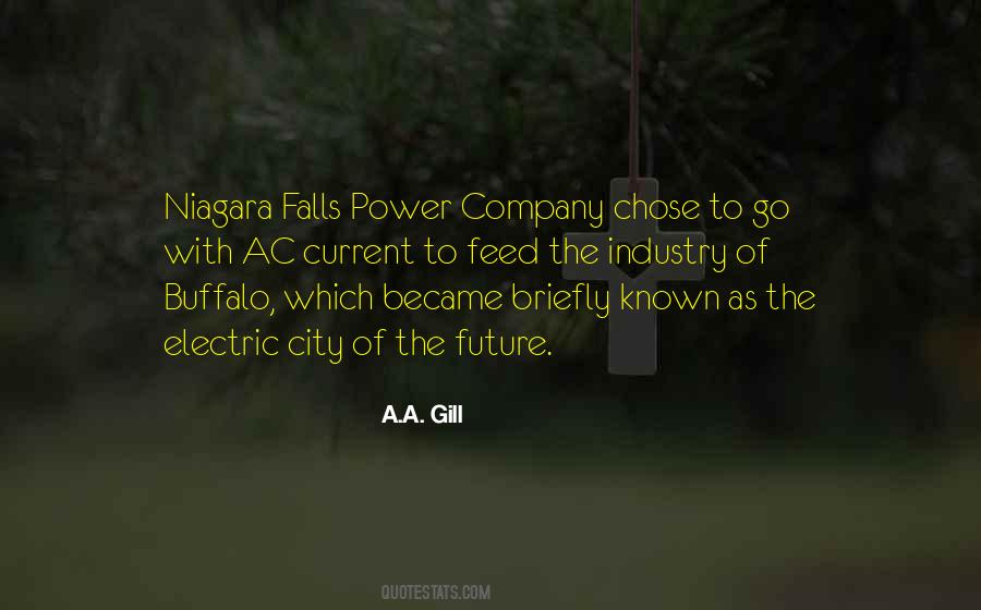 Quotes About Niagara Falls #166496