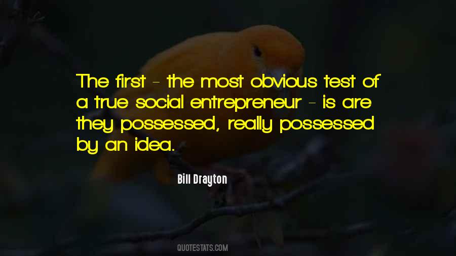 Social Entrepreneur Quotes #1814438