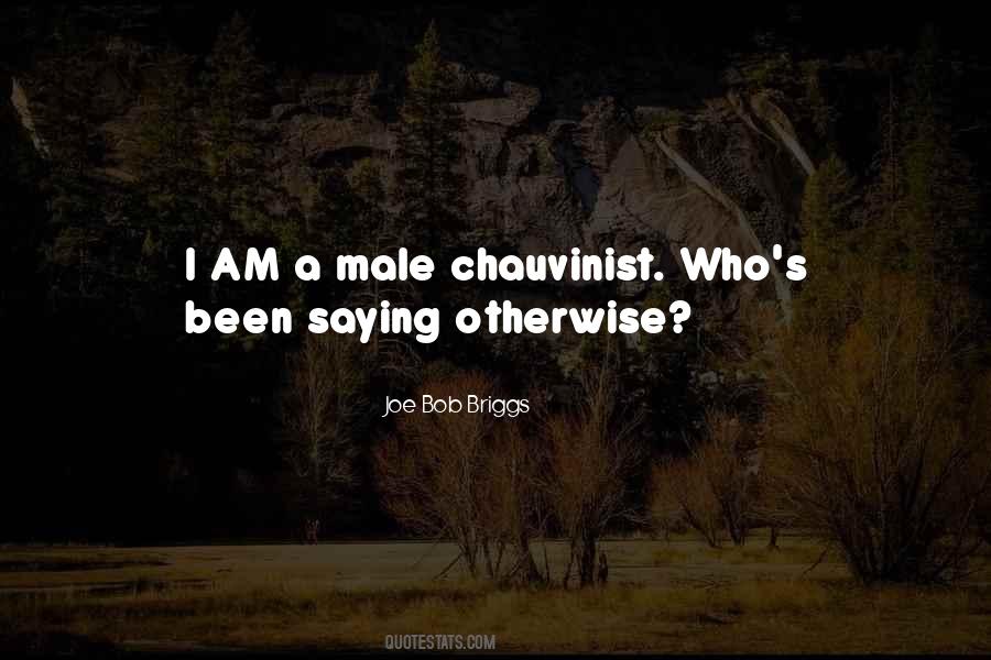 Quotes About Male Chauvinist #936092