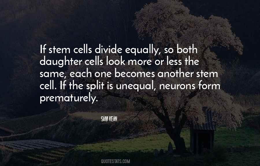 Quotes About Stem Cell #1279116