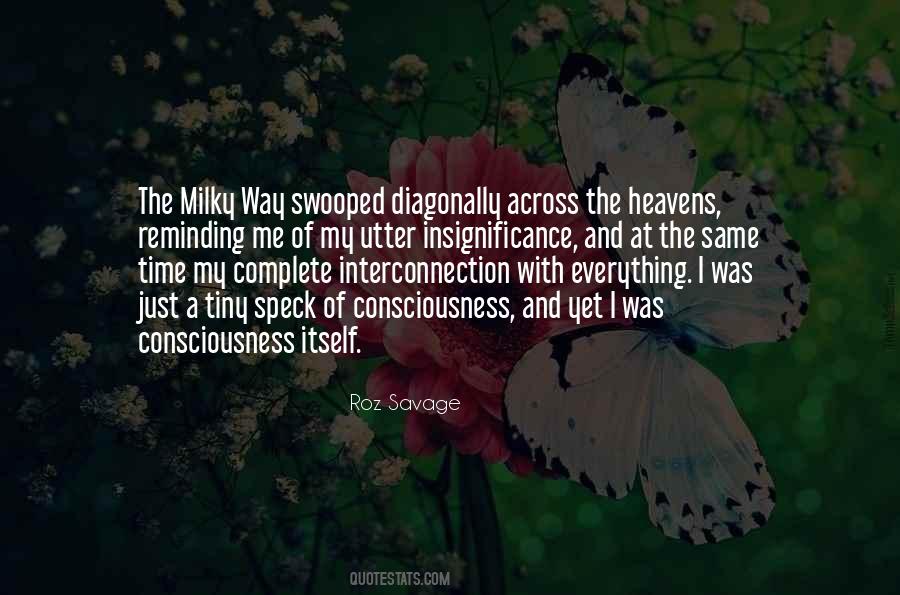 Quotes About Insignificance #1110754