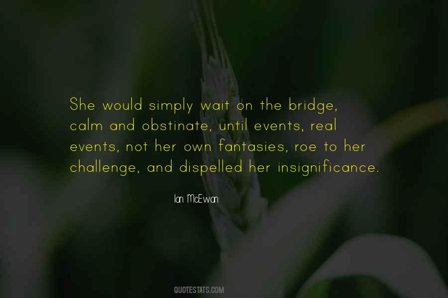 Quotes About Insignificance #154037