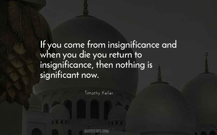 Quotes About Insignificance #1585392