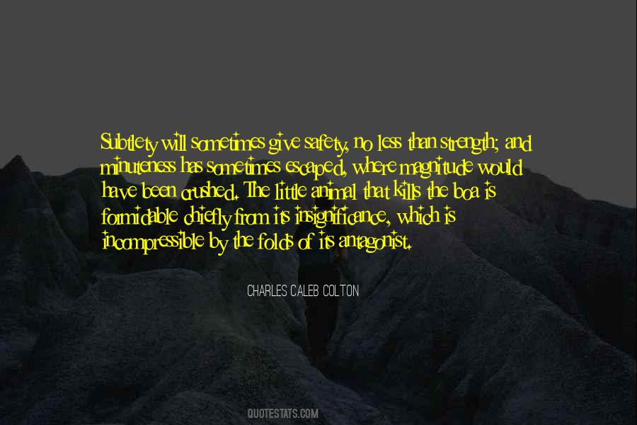 Quotes About Insignificance #577685