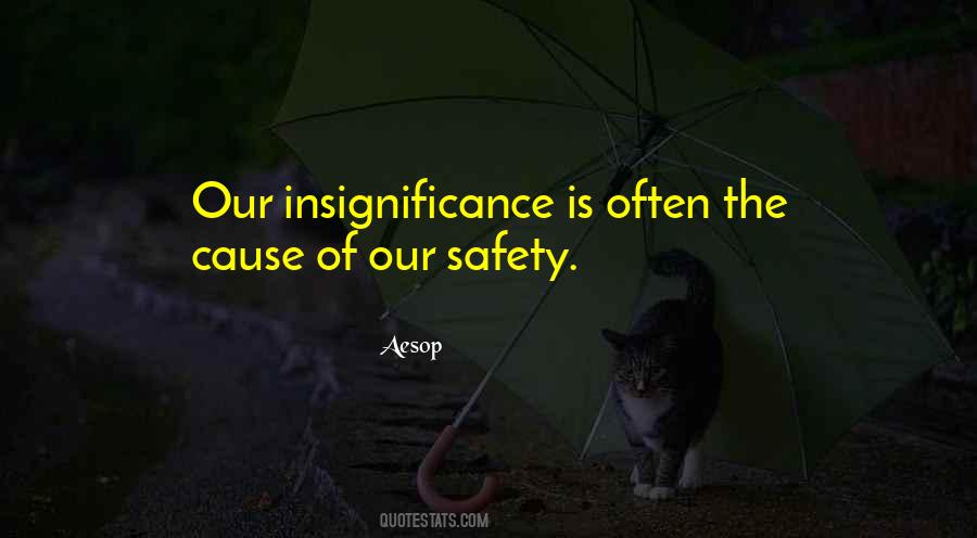 Quotes About Insignificance #655557
