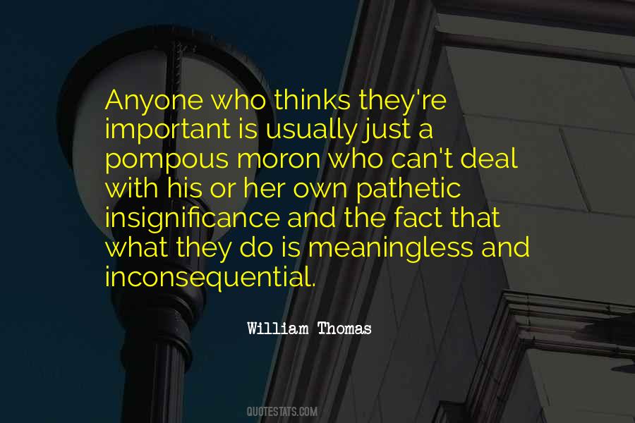 Quotes About Insignificance #850455