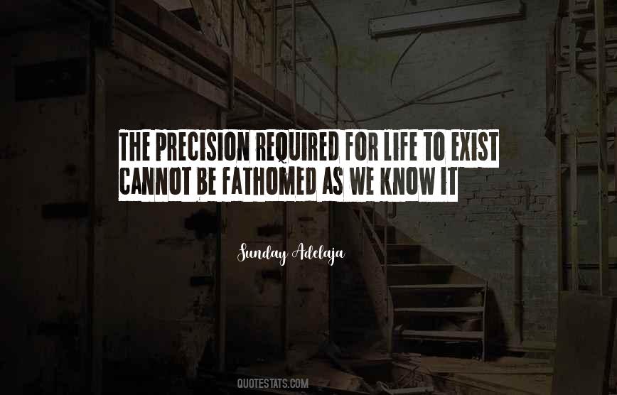Night Traveler Quotes #1307742