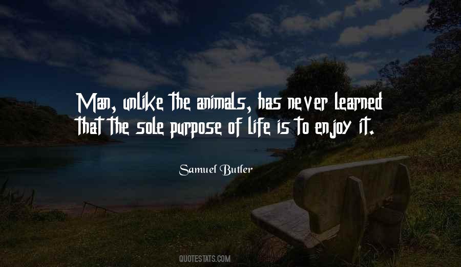 Life Has Purpose Quotes #572289