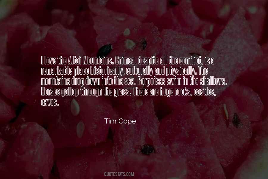 Quotes About Rocks And Mountains #636320