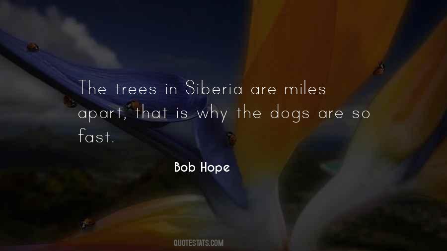 Quotes About Siberia #1667328