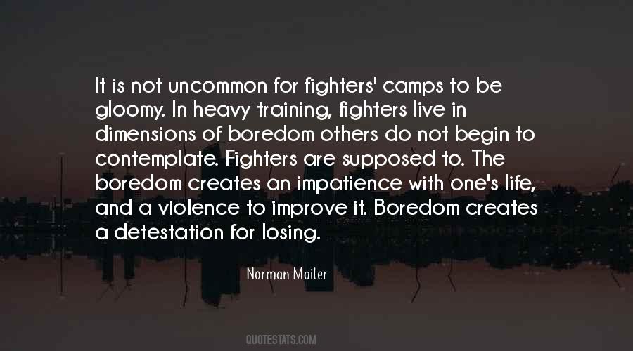 Quotes About Fighters #1082056