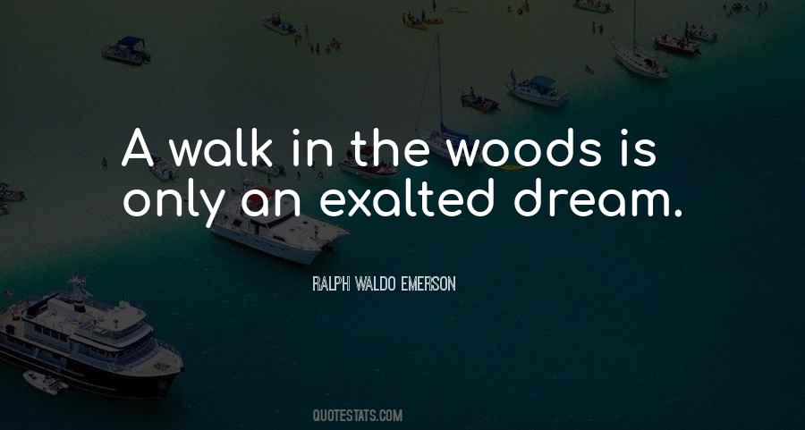 Quotes About Walks In The Woods #818813