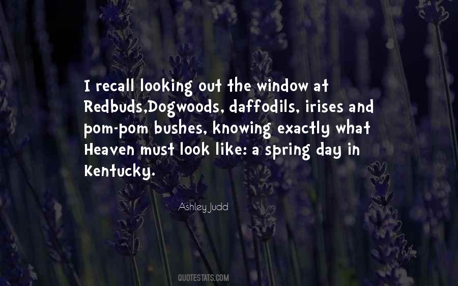 Quotes About Looking Out The Window #711274