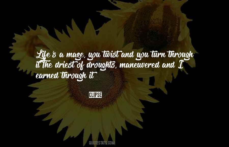 Life Is A Maze Quotes #1650771