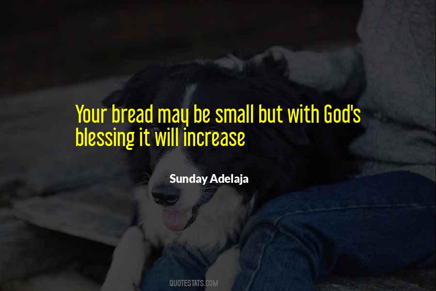 Small Goals Quotes #1211099