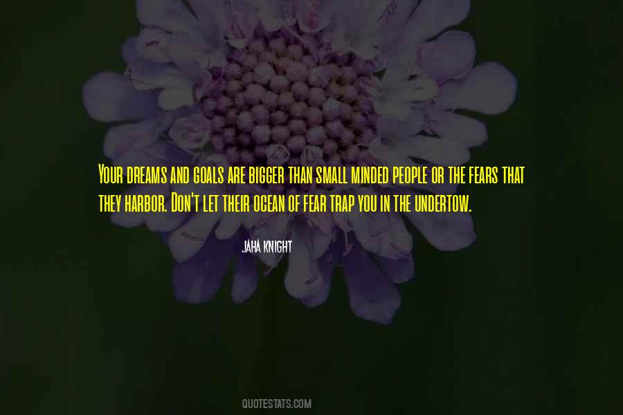 Small Goals Quotes #1803895