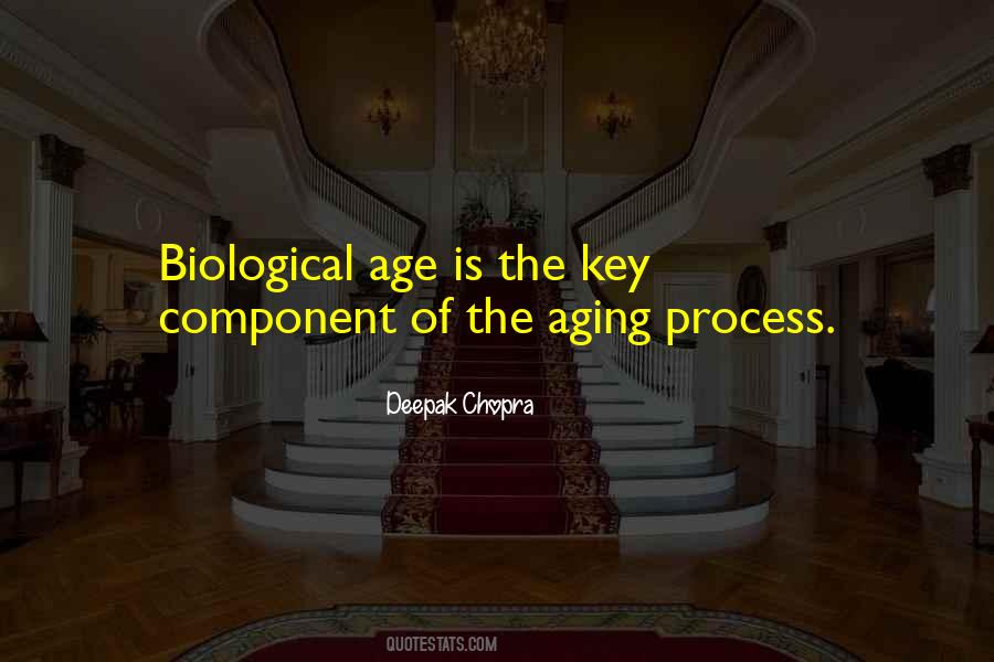Quotes About The Aging Process #1528207