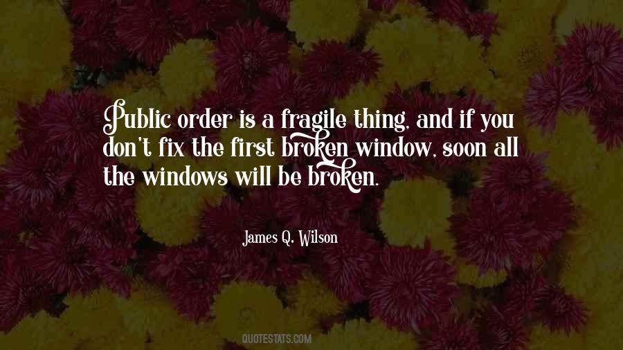 Quotes About Broken Windows #369306