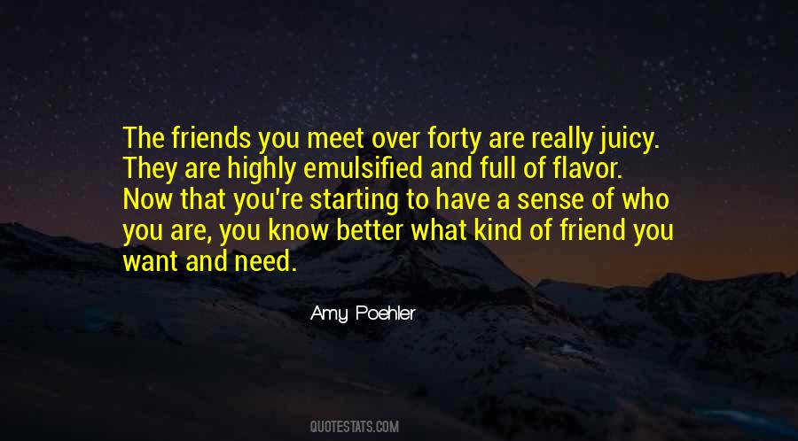 Quotes About Friends You Meet #1518288