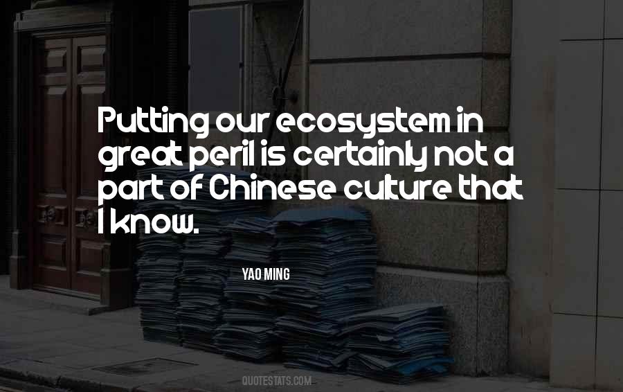 Quotes About Chinese Culture #1136291