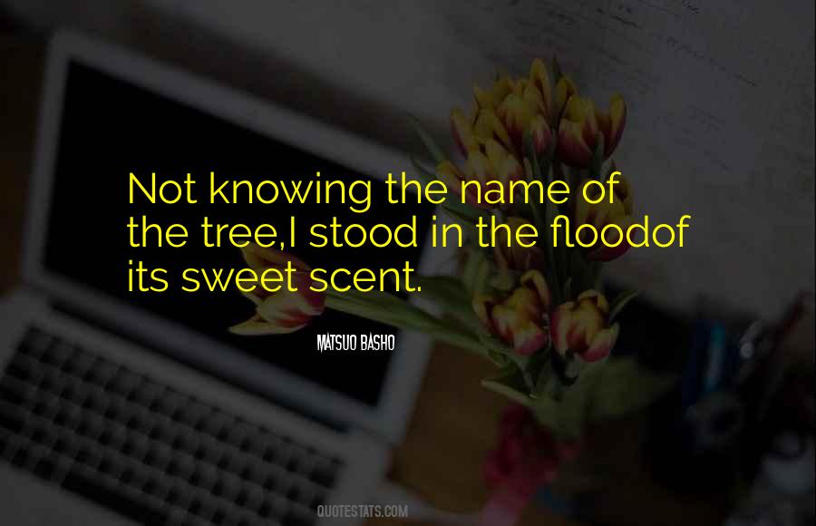 Quotes About Knowing Someone's Name #1121500