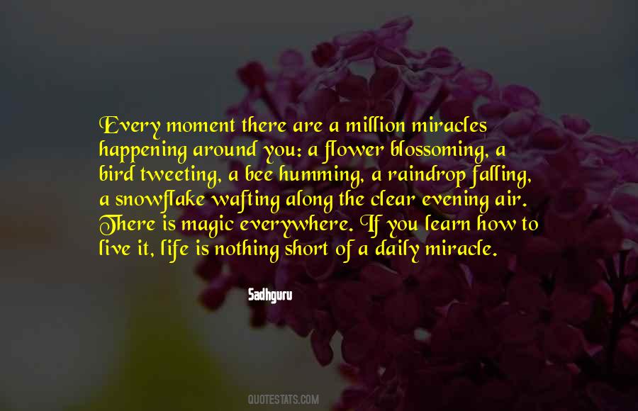 Quotes About Miracles Of Life #775287