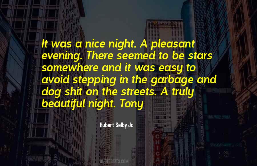 Quotes About A Nice Night #248130