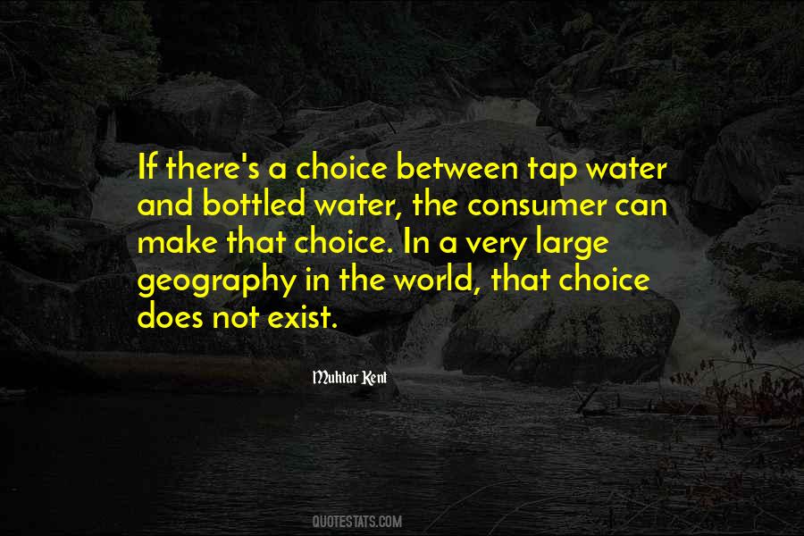 Quotes About Consumer Choice #271476