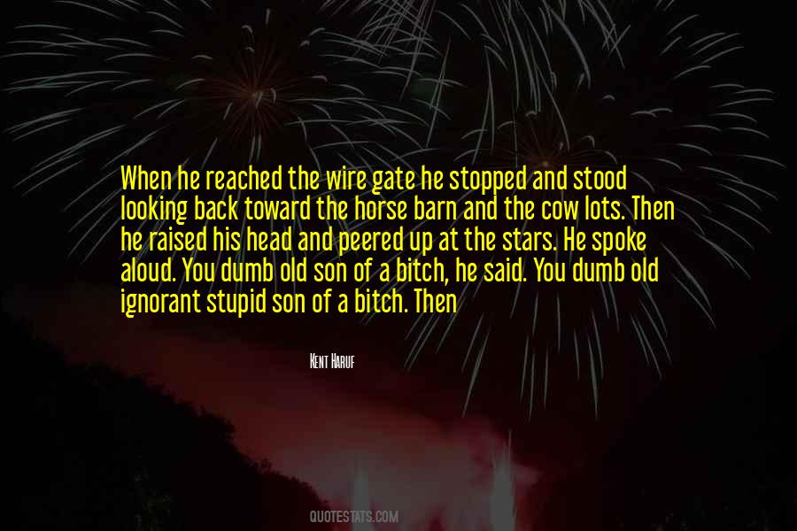 Stupid And Ignorant Quotes #1606351