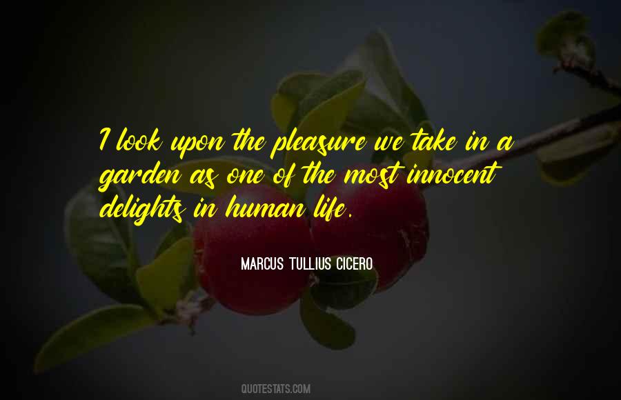 Innocent Life Quotes #243442