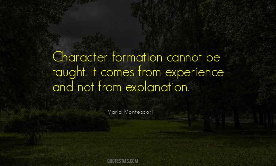 Quotes About Experience And Character #1006678