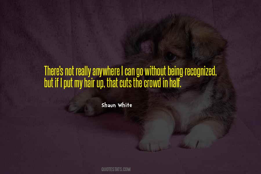Quotes About Not Being Recognized #1448771