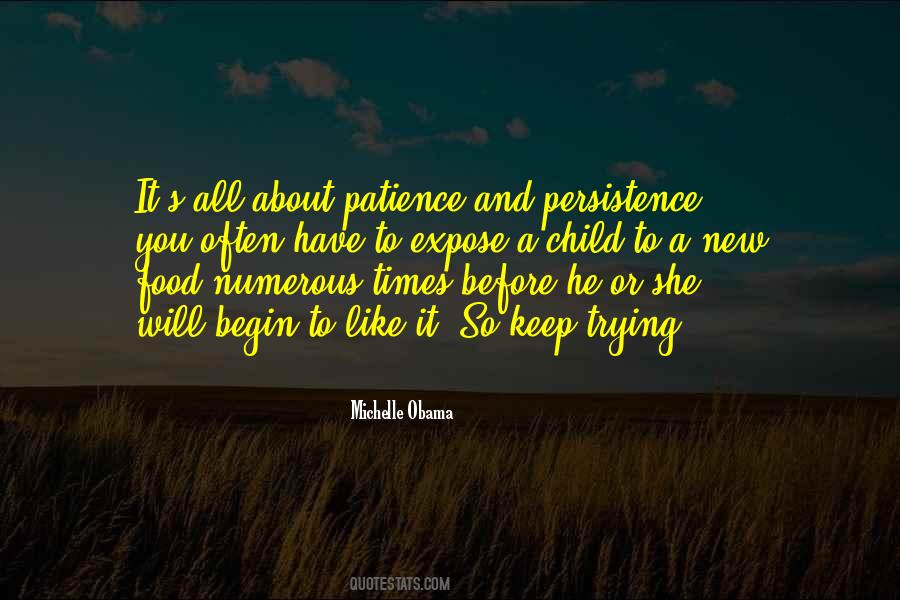 Quotes About Patience And Persistence #299395