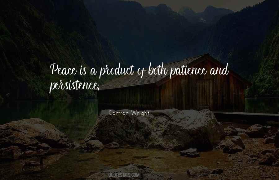 Quotes About Patience And Persistence #640938