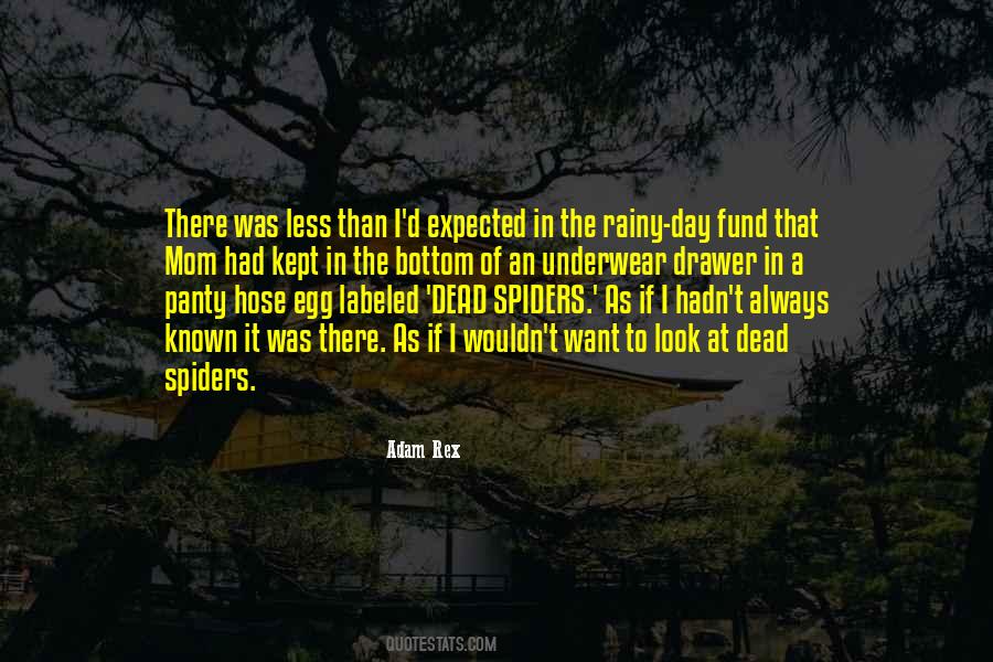 Quotes About A Rainy Day #1305309