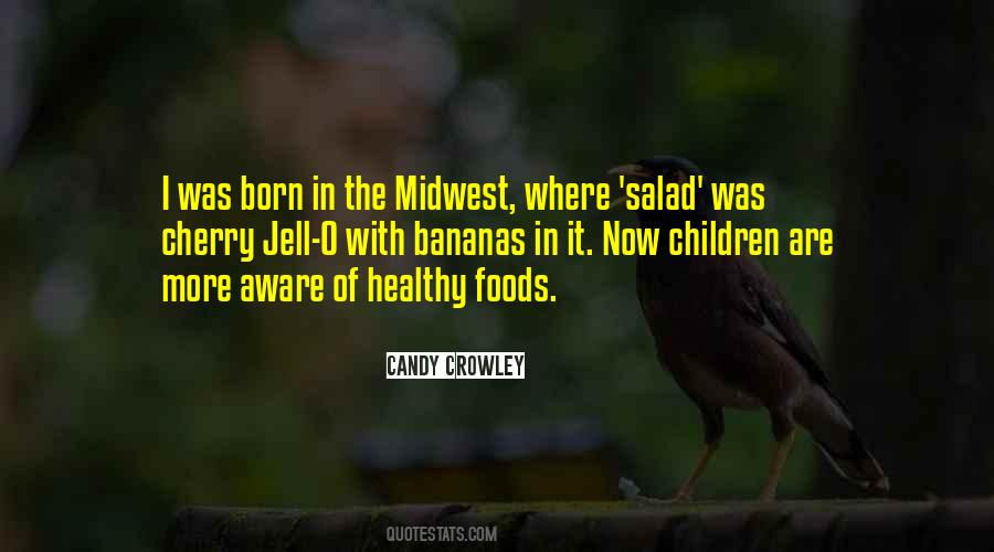 Quotes About The Midwest #257753