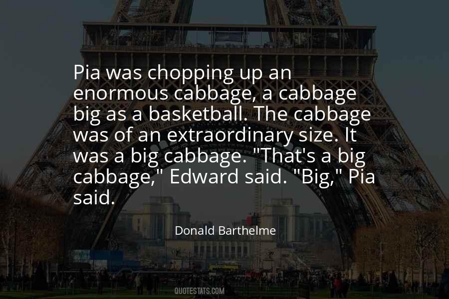 Quotes About Pia #215316