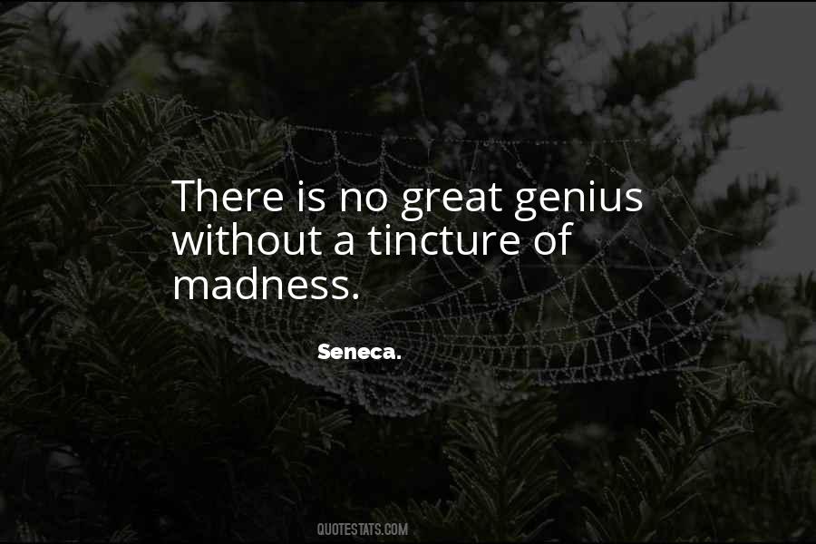 Quotes About Genius And Madness #1284063