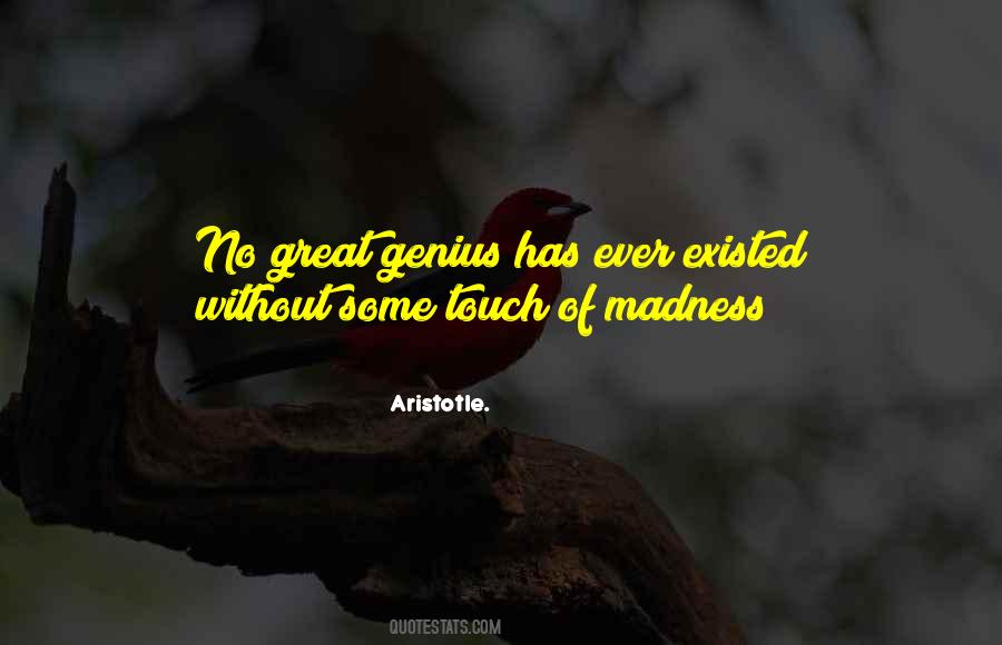 Quotes About Genius And Madness #1538888