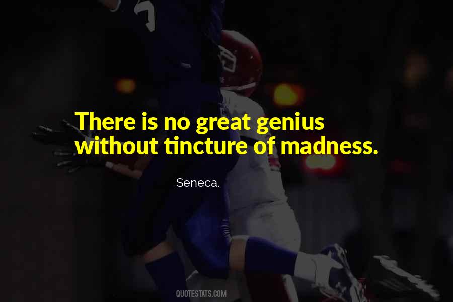 Quotes About Genius And Madness #466962