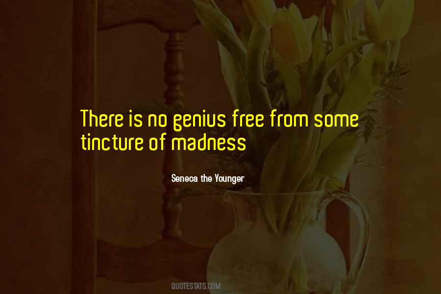 Quotes About Genius And Madness #636402