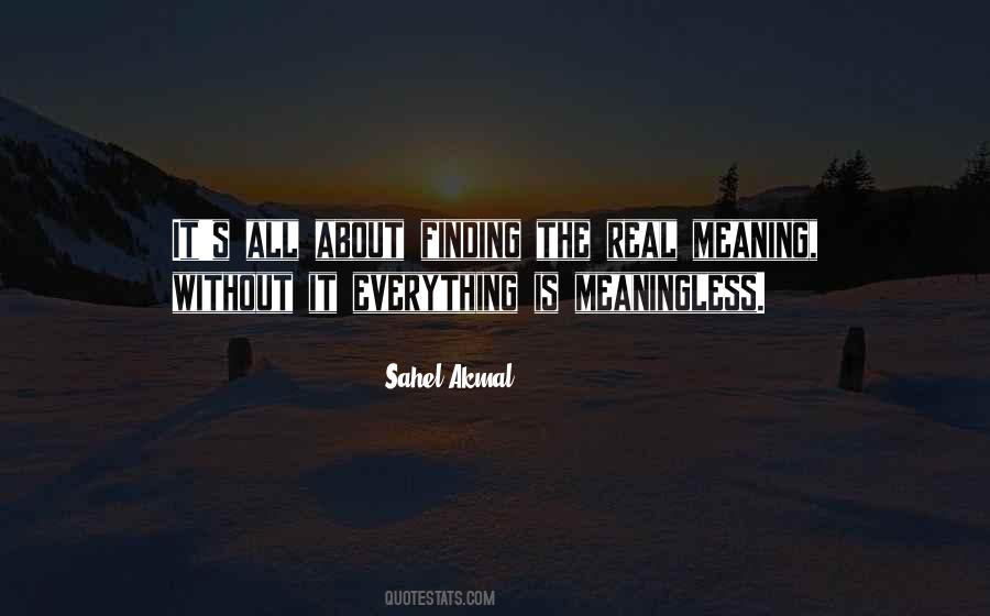 Finding Meaning Quotes #1016184