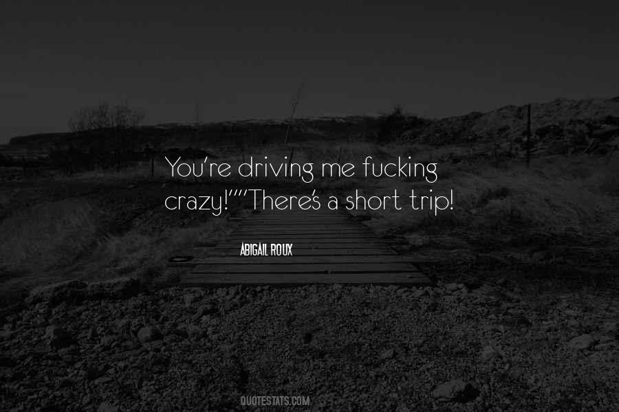 Quotes About Driving Yourself Crazy #1039749
