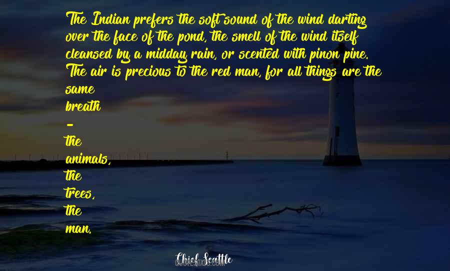 Native Indian Quotes #790364