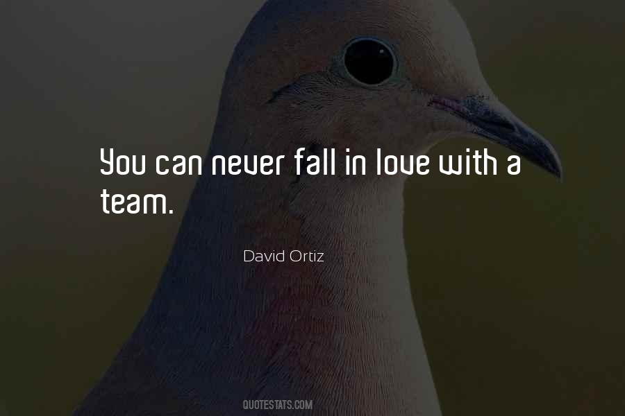 Quotes About Never Fall In Love #1241431