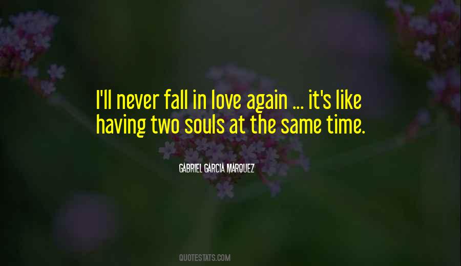 Quotes About Never Fall In Love #1398296
