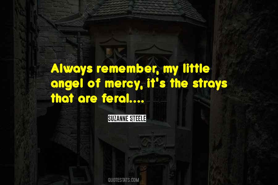 Quotes About Strays #1230597
