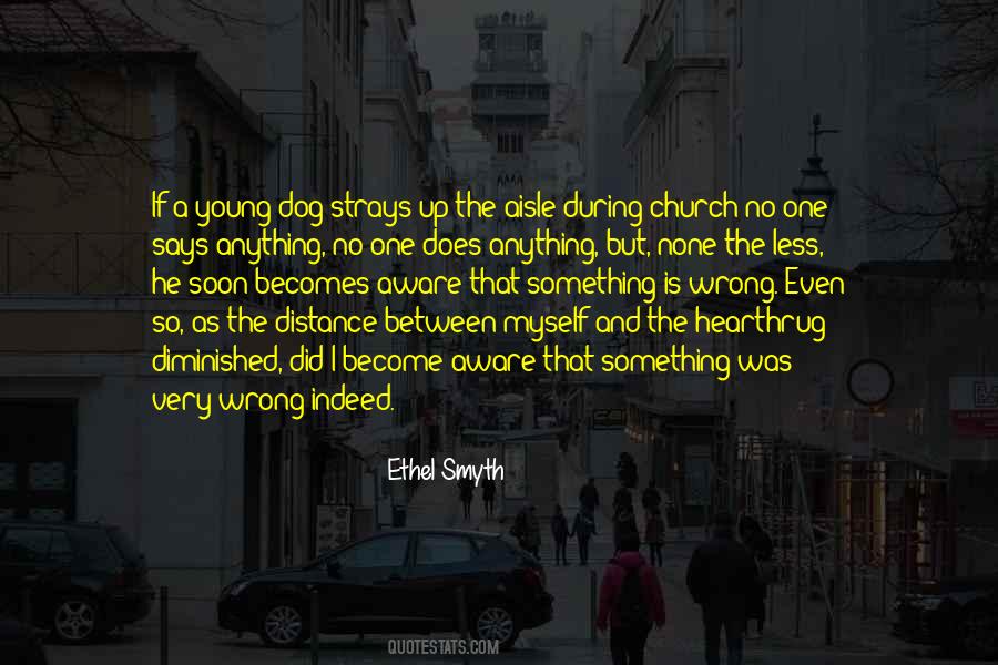 Quotes About Strays #1510651