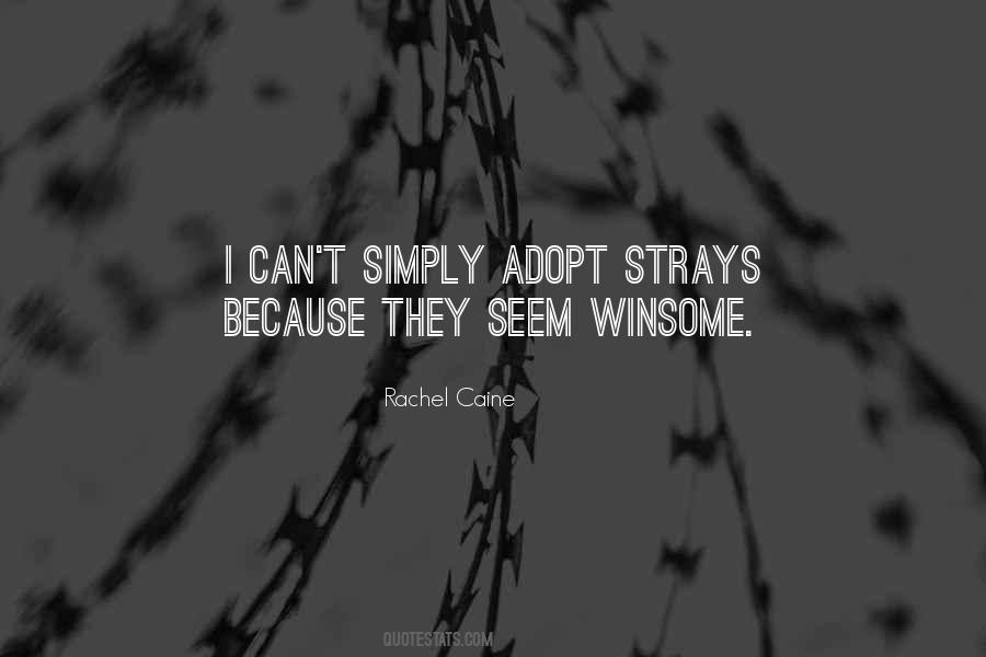 Quotes About Strays #228006